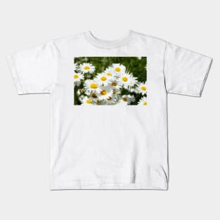 daisies Kids T-Shirt